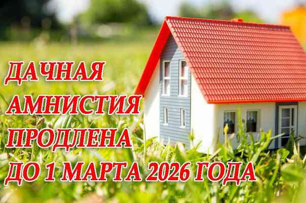 Дачная амнистия. Дачная амнистия продлена до 1 марта 2026 года. Дачная амнистия 2021 СНТ. Дачная амнистия брошюра. Дачная амнистия PNG.